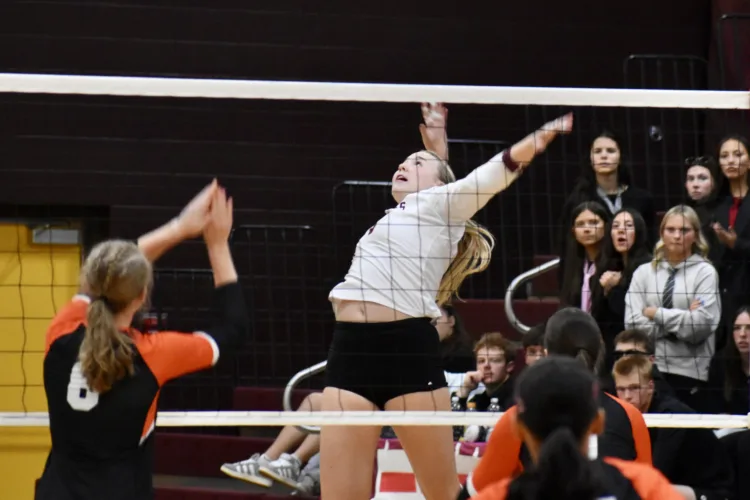 Majettes fall in home game against Demons